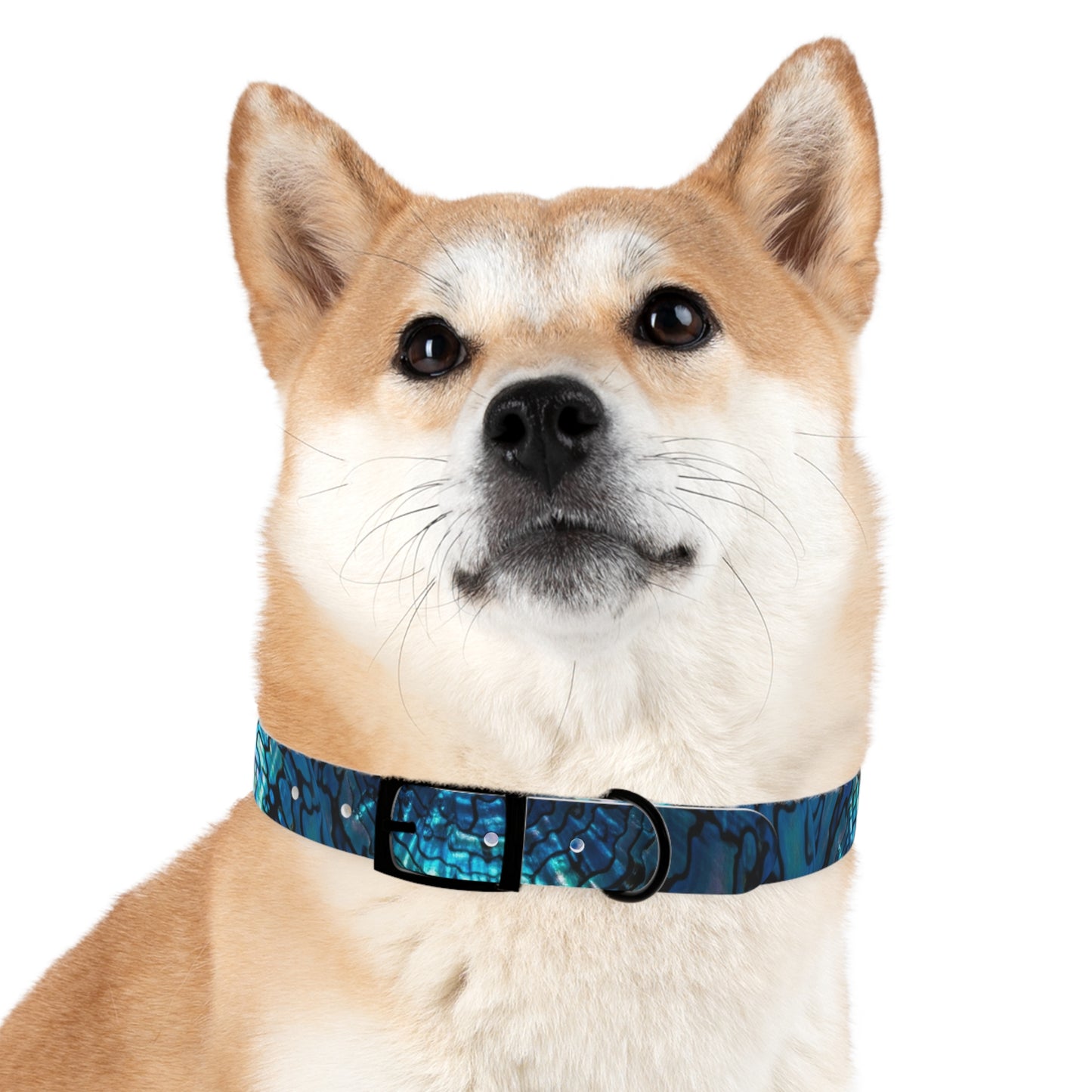 Abalone Dog Collar, Pet Accessory for Dog Lovers, Unique Gifts for Pets, Adjustable Dog Fashion, Colorful Dog Gear, Doggie Collars
