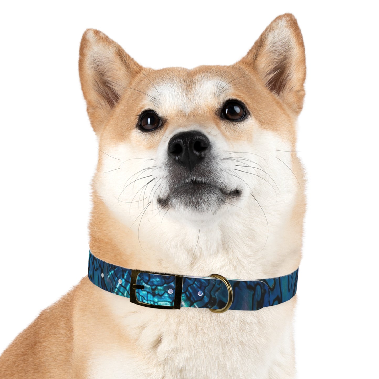 Abalone Dog Collar, Pet Accessory for Dog Lovers, Unique Gifts for Pets, Adjustable Dog Fashion, Colorful Dog Gear, Doggie Collars