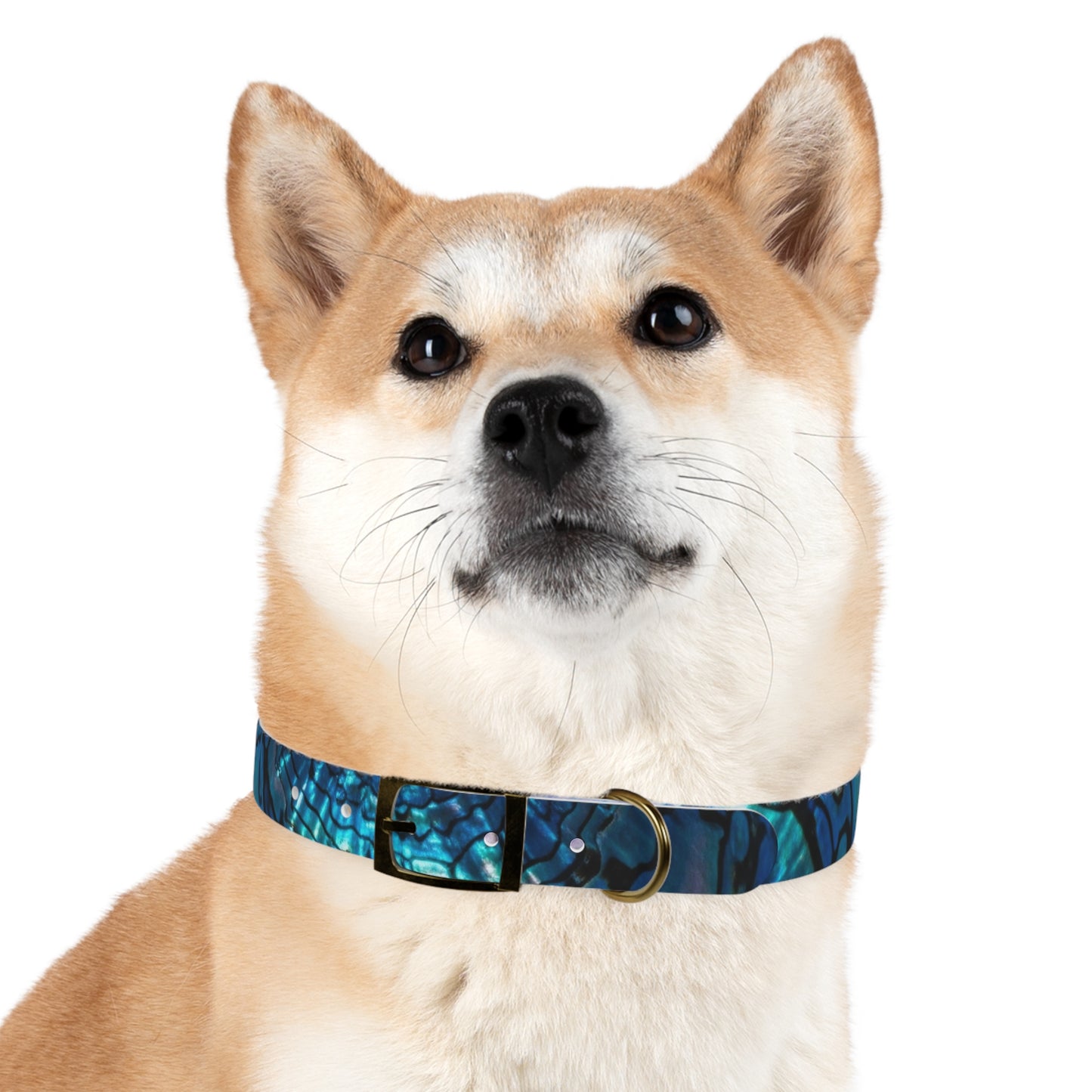 Abalone Dog Collar, Pet Accessory for Dog Lovers, Unique Gifts for Pets, Adjustable Dog Fashion, Colorful Dog Gear, Doggie Collars