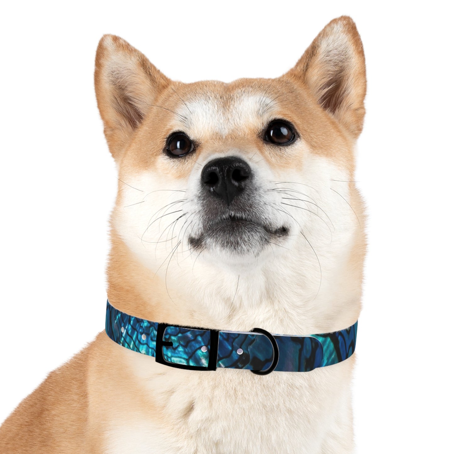 Abalone Dog Collar, Pet Accessory for Dog Lovers, Unique Gifts for Pets, Adjustable Dog Fashion, Colorful Dog Gear, Doggie Collars