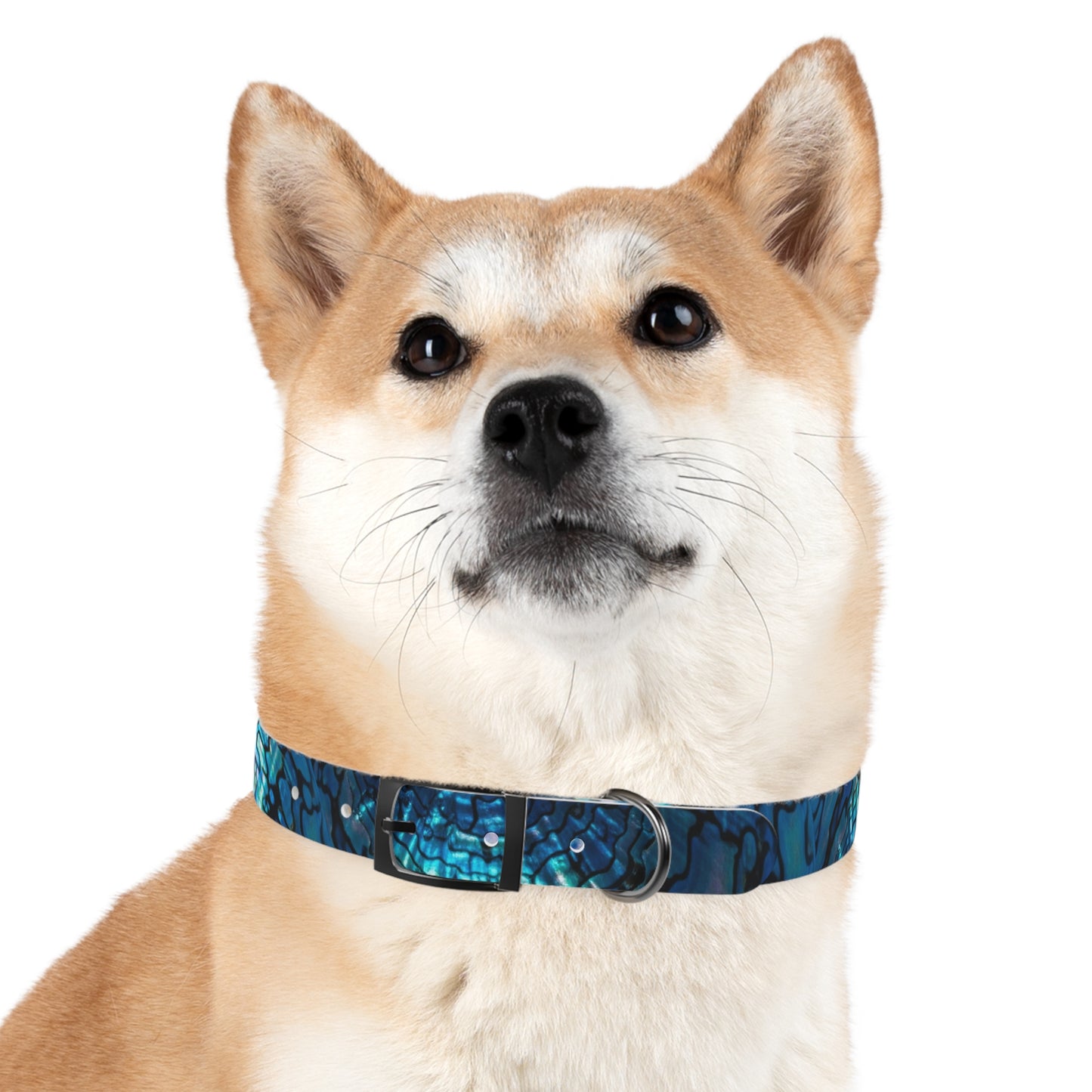 Abalone Dog Collar, Pet Accessory for Dog Lovers, Unique Gifts for Pets, Adjustable Dog Fashion, Colorful Dog Gear, Doggie Collars